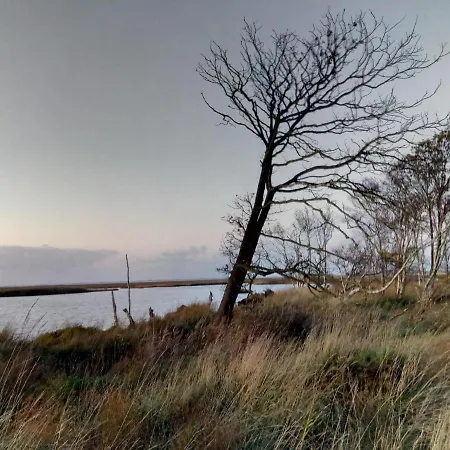 House Silence Дом отдыха