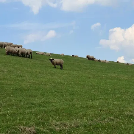 Ferienhaus House Silence