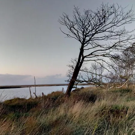 Ferienhaus House Silence