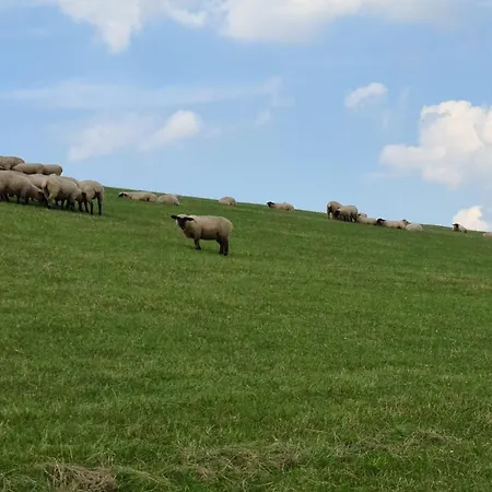 House Silence Ferienhaus Sehestedt (Lower-Saxony)